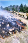 Inmate crews work the Battle Creek Fire in August 2002. 