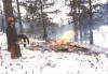 Inmate crews burn the dried slash piles in the winter.