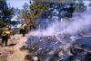 Inmate crews work the Battle Creek Fire in August 2002. 